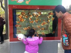 -石家庄市动物园