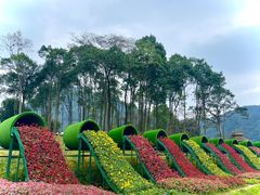 -广州市石门国家森林公园