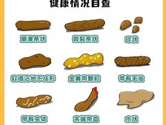 -瑞派申生动物医院·24H夜诊·国际动物医疗中心·骨外科(吴中路店)