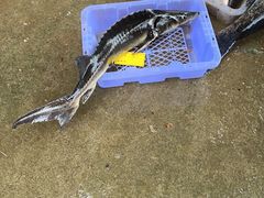 -姥家大锅台水库渔家