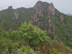 -大岭沟猕猴桃谷风景区