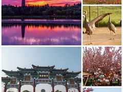 -安徽八里河旅游区