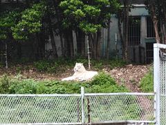 -宁波野生动物园