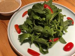 爽口冰菜-老阿妈蒙古村·蒙古包·草原文化·歌舞表演(老君堂店)