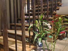-滇铺子·云南特色菜·第九届野生菌美食节(东风东路c86店)