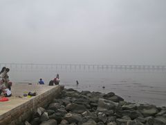 -宝安西湾红树林湿地公园