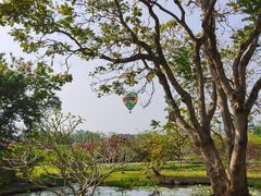 -中国科学院西双版纳热带植物园