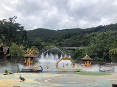 -西双版纳原始森林公园