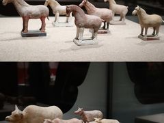 -南山博物馆