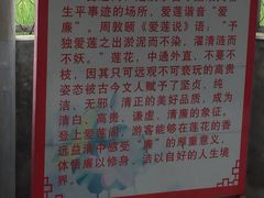 -河北村民俗体验园
