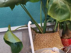 -春莱·老挝咖啡·泰式奶茶(钟楼店)