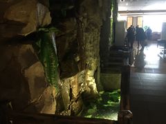 -御池园(顾村公园店)