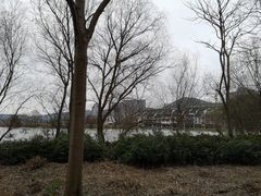 -长兴太湖图影湿地文化园