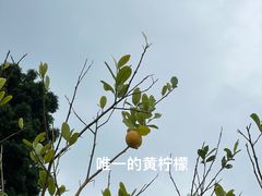-广州神农草堂中医药博物馆