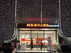 -阿五黄河大鲤鱼(英协路店)