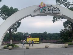 -上海鲜花港