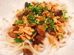 -MR鹅外