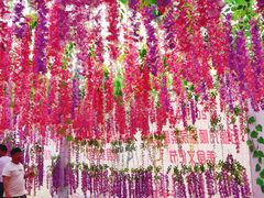 -万源龙顺度假庄园生态观光园