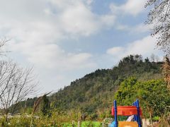 -玫瑰庄园·自助烧烤·烤全羊·团建拓展(龙泉山店)
