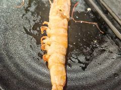 -水木锦堂·自助铁板烧(望京凯德MALL店)