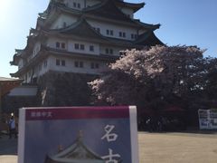 -名古屋城
