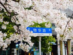 -玛格萝妮比萨屋(四平店)