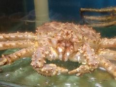 -蓝珊瑚蒸汽海鲜餐厅(龙奥店)