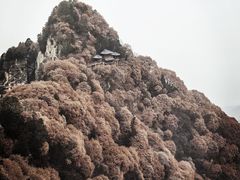 -少华山国家森林公园