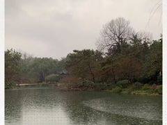 -西湖外事游船(花港观鱼码头)