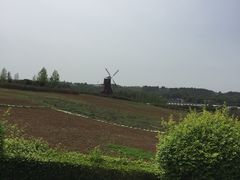 -紫颐香薰山谷景区