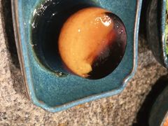 梅子果冻-湊湊火锅·茶憩(上海合生汇店)