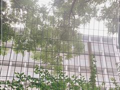 -日本大使馆-新闻文化中心