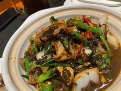 -福苗小骆驼烧烤(大唐不夜城店)