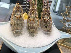 -丰卓会海鲜自助(中润大道店)