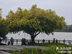 -海珠湖公园