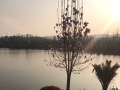 -枫香湖儿童公园