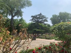 -睦南公园