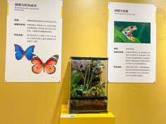-宁波科学探索中心