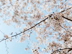 -宝山第一中心小学