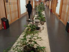 -玖合素手·轻养足浴SPA(云纺大悦城店)