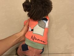 -爱宠屋pet shop·宠物洗澡·宠物美容