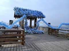 -烟台海昌鲸鲨海洋公园