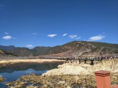 -泸沽湖国家级风景名胜区走婚桥