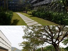 -三亚太阳湾柏悦酒店
