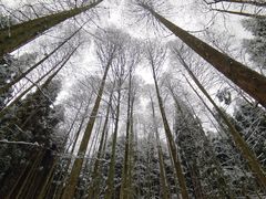 -太阳湾风景区
