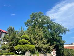 -烟台山景区