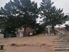 -台场海滨公园船码头