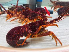 -白金汉爵大酒店-24小时餐厅(南京白金汉爵大酒店店)