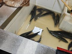-都江堰石锅鱼