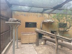 -青藏高原野生动物园